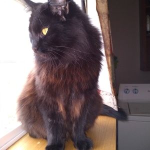 Meet your Posher, Tammy